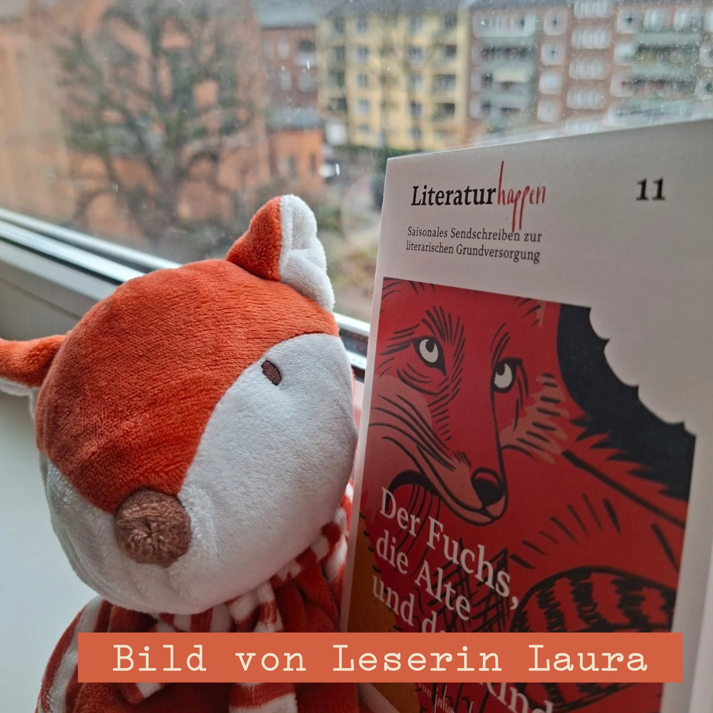 literaturhappen-juliana-socher-abo-2026-6.jpg