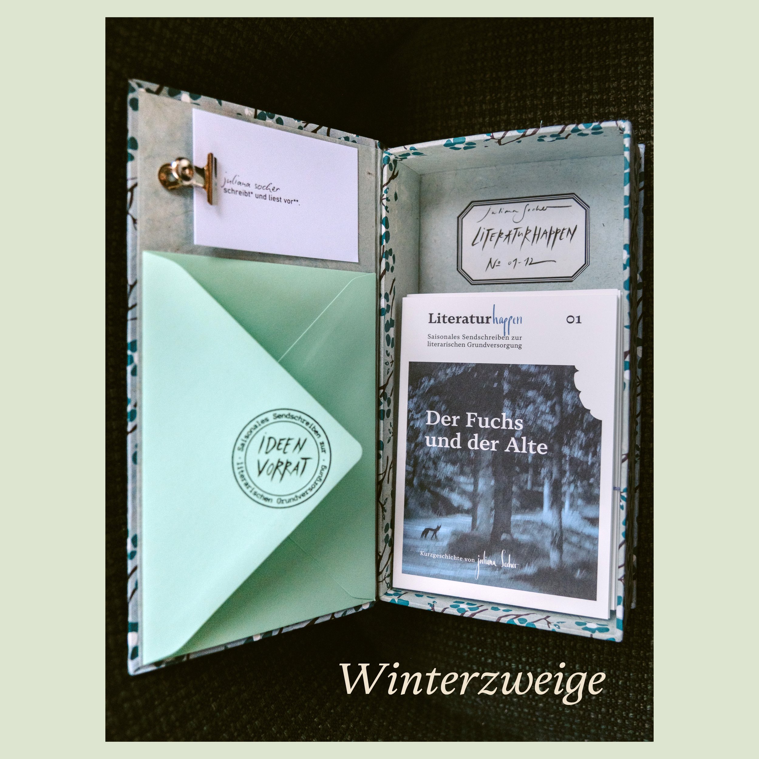 literaturhappen-juliana-socher-abo-20268.jpg