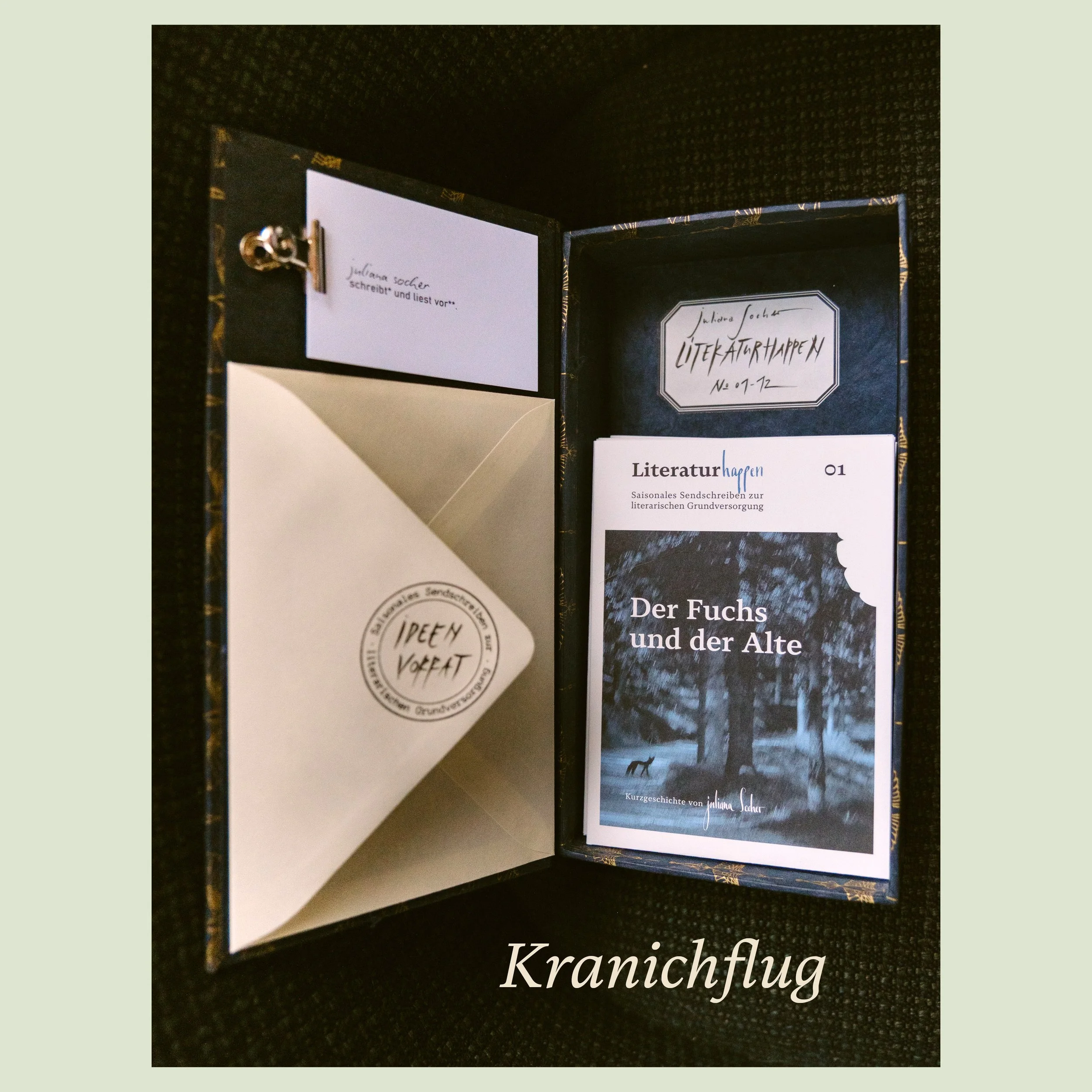 literaturhappen-juliana-socher-abo-20269.jpg