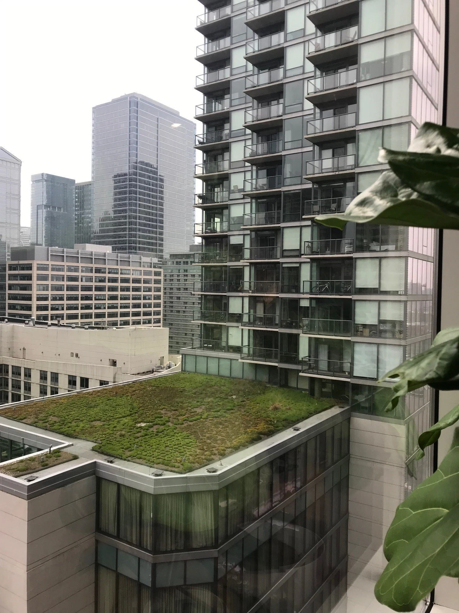 Chicago 3.jpg