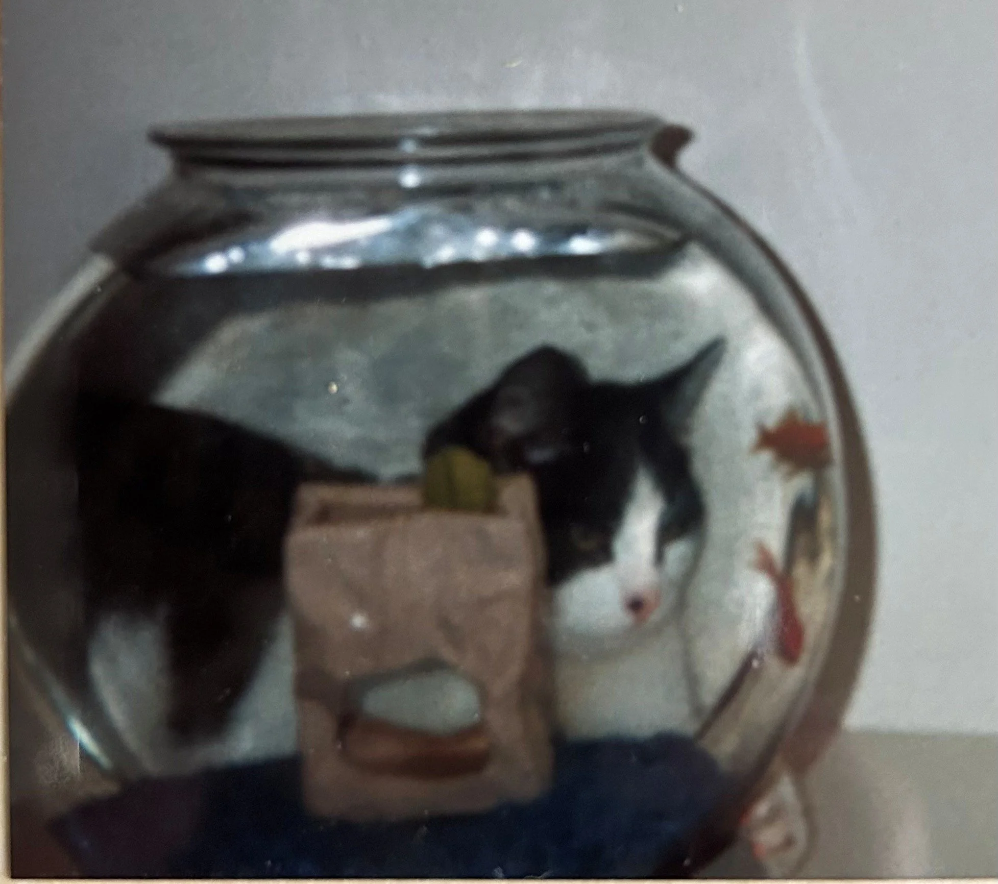 What's the worst that could happen?