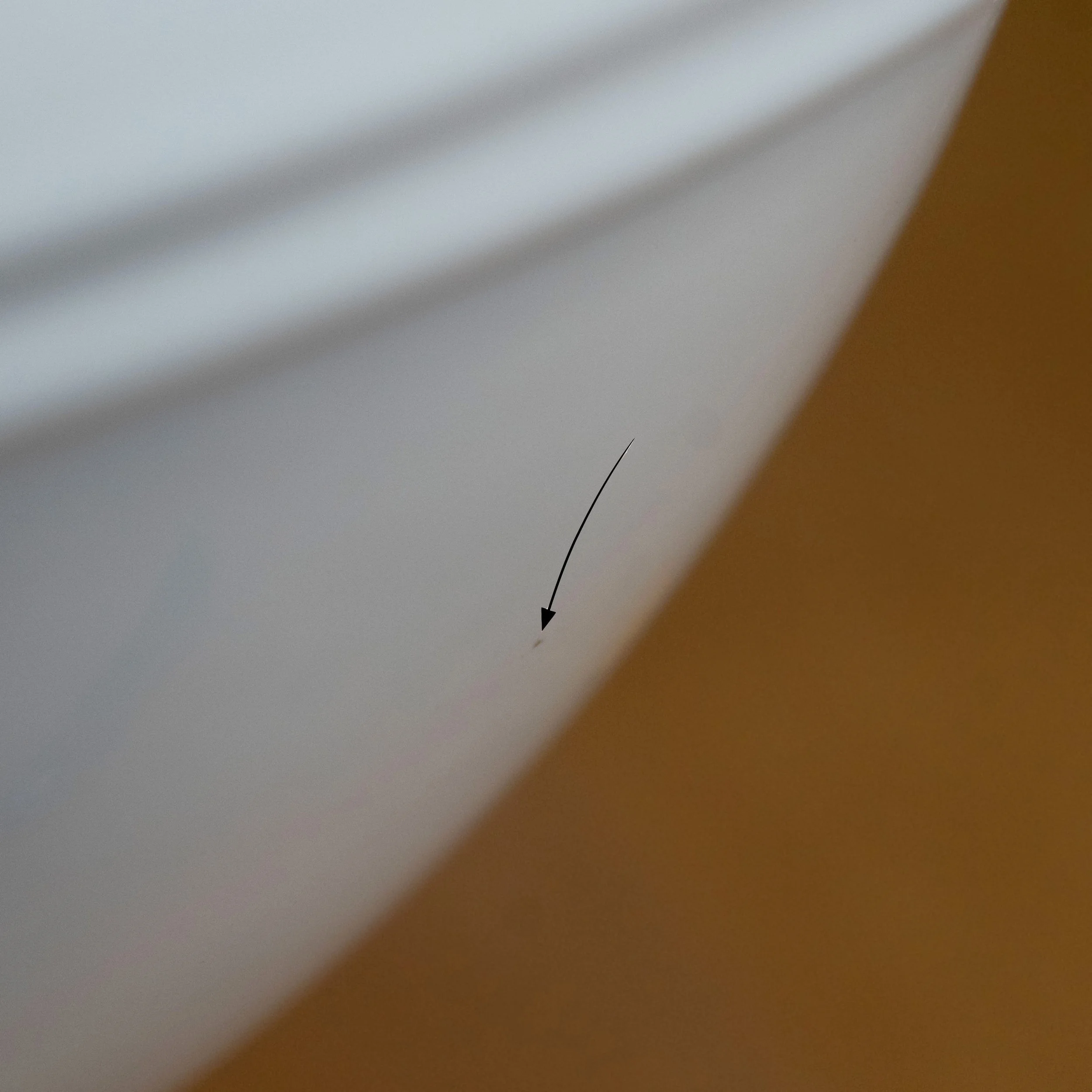 TB-AD-WH No101 Bild 1.jpg