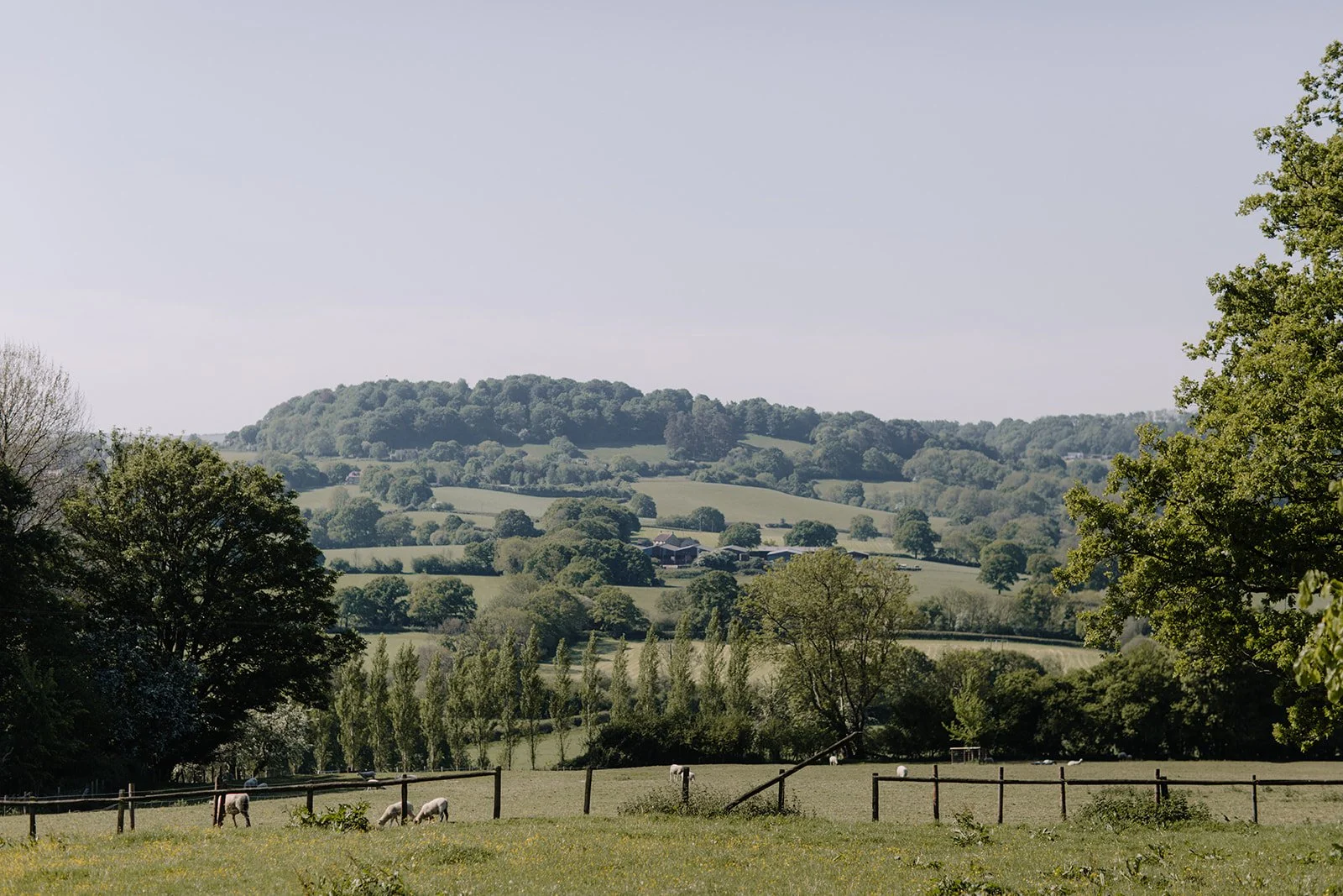 Clementine & George Wiltshire Wedding - Rebecca Goddard Photography-503_websize.jpg