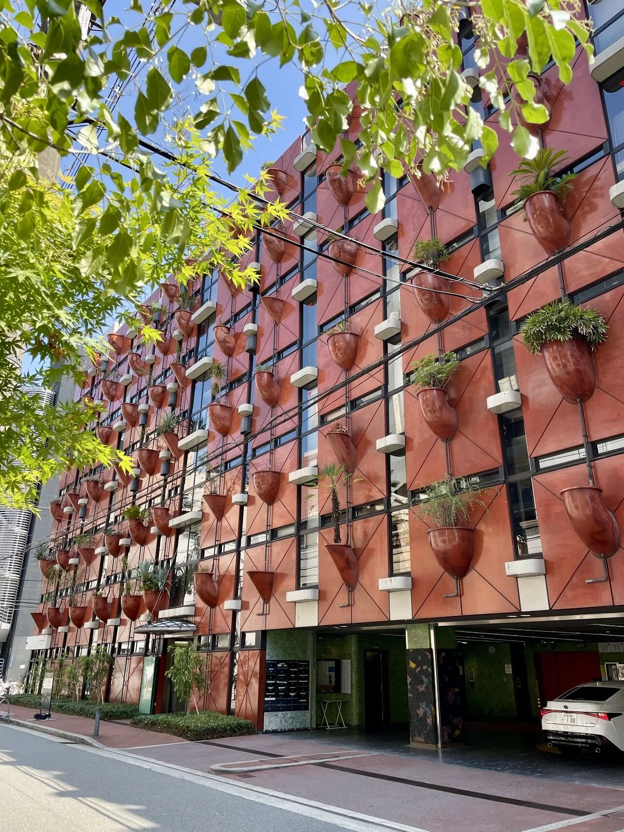organic architecture japan biophilia.jpeg