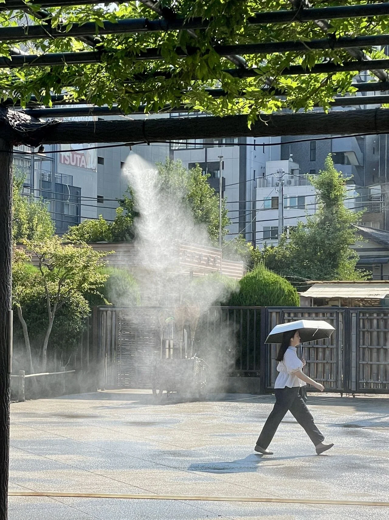 Dr Fiona Gray explored Tokyo, Japan, 2025.