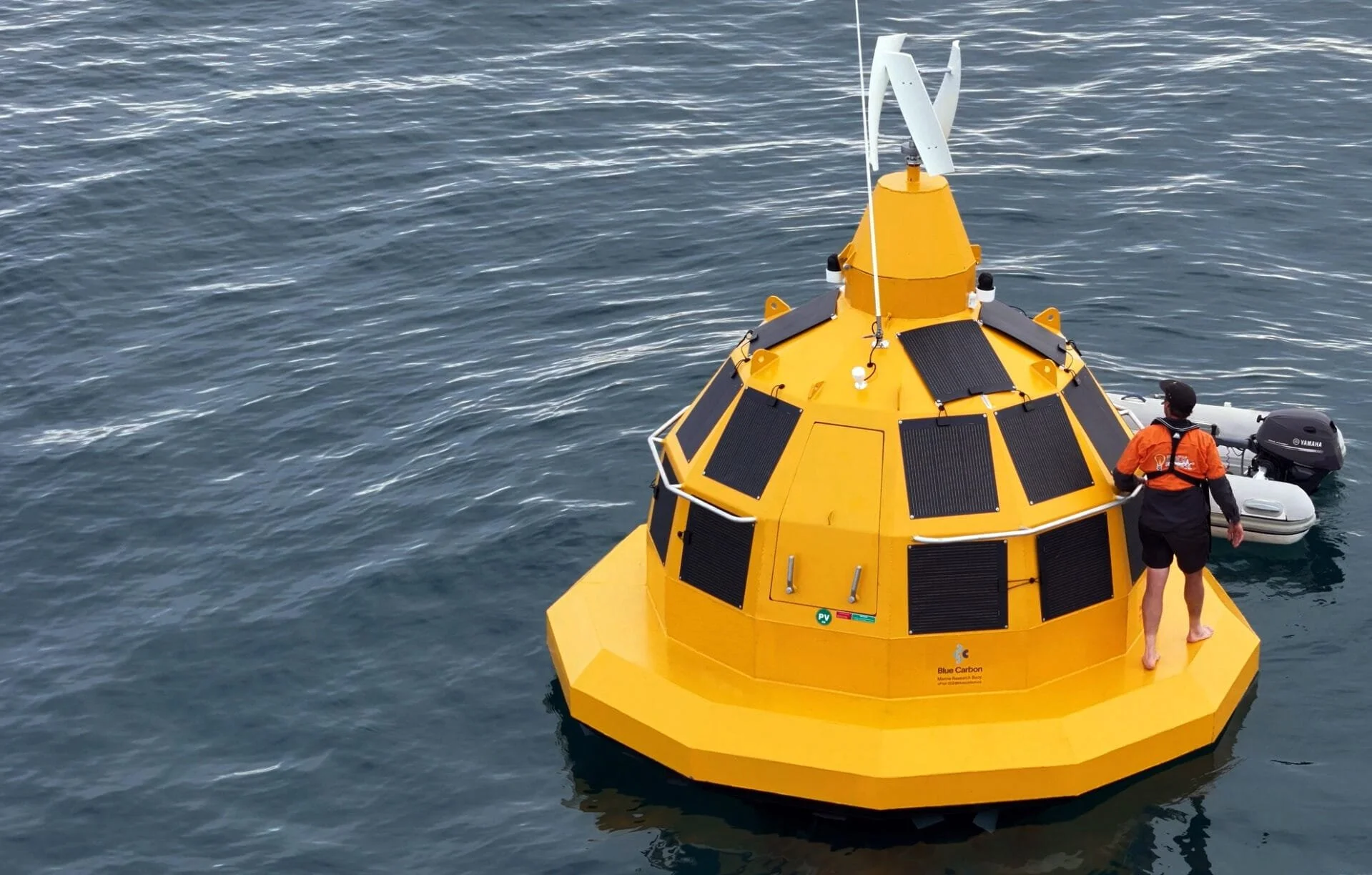 Opods BlueCarbon The Biophilic Blueprint.jpg