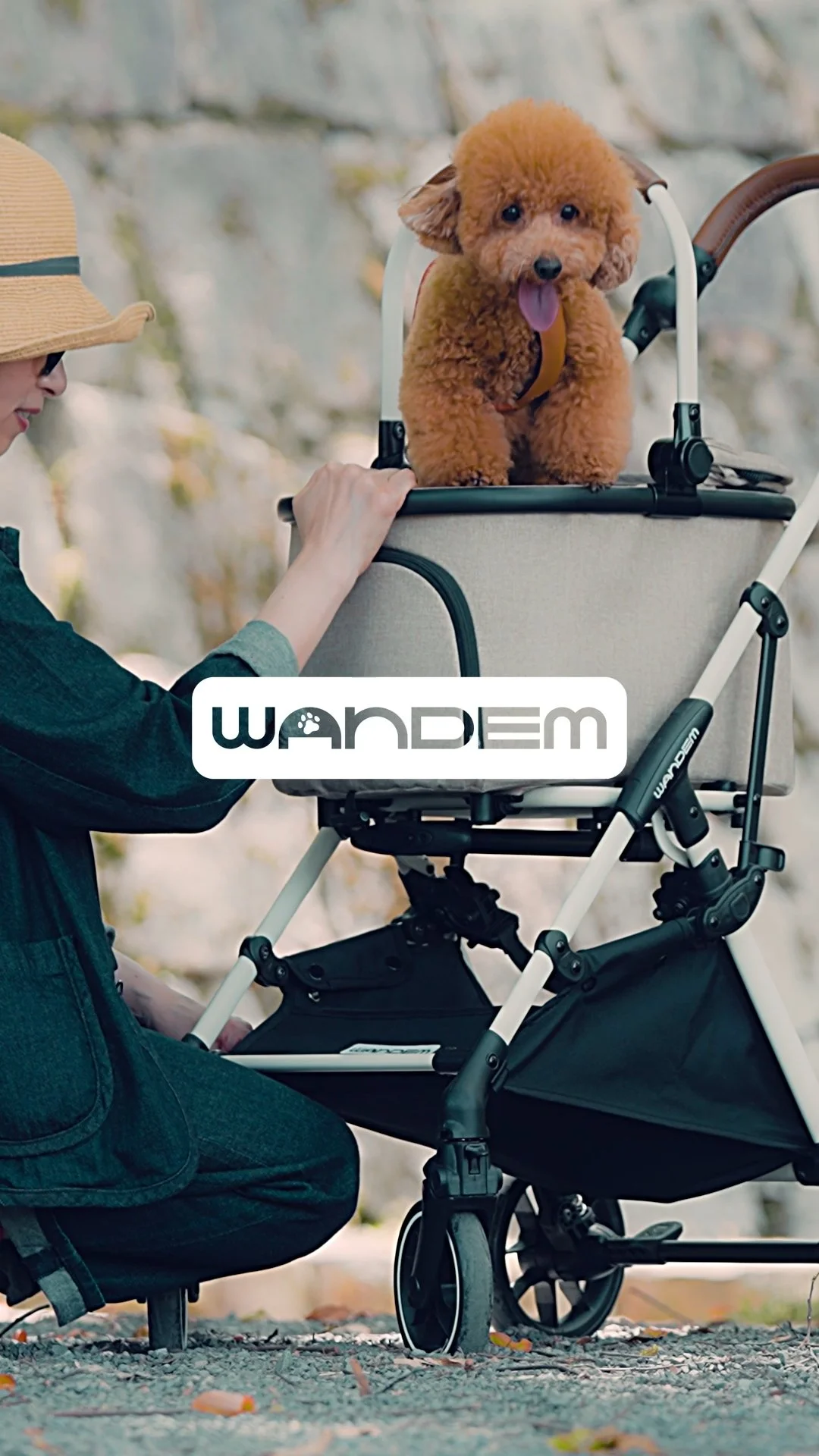WANDEM