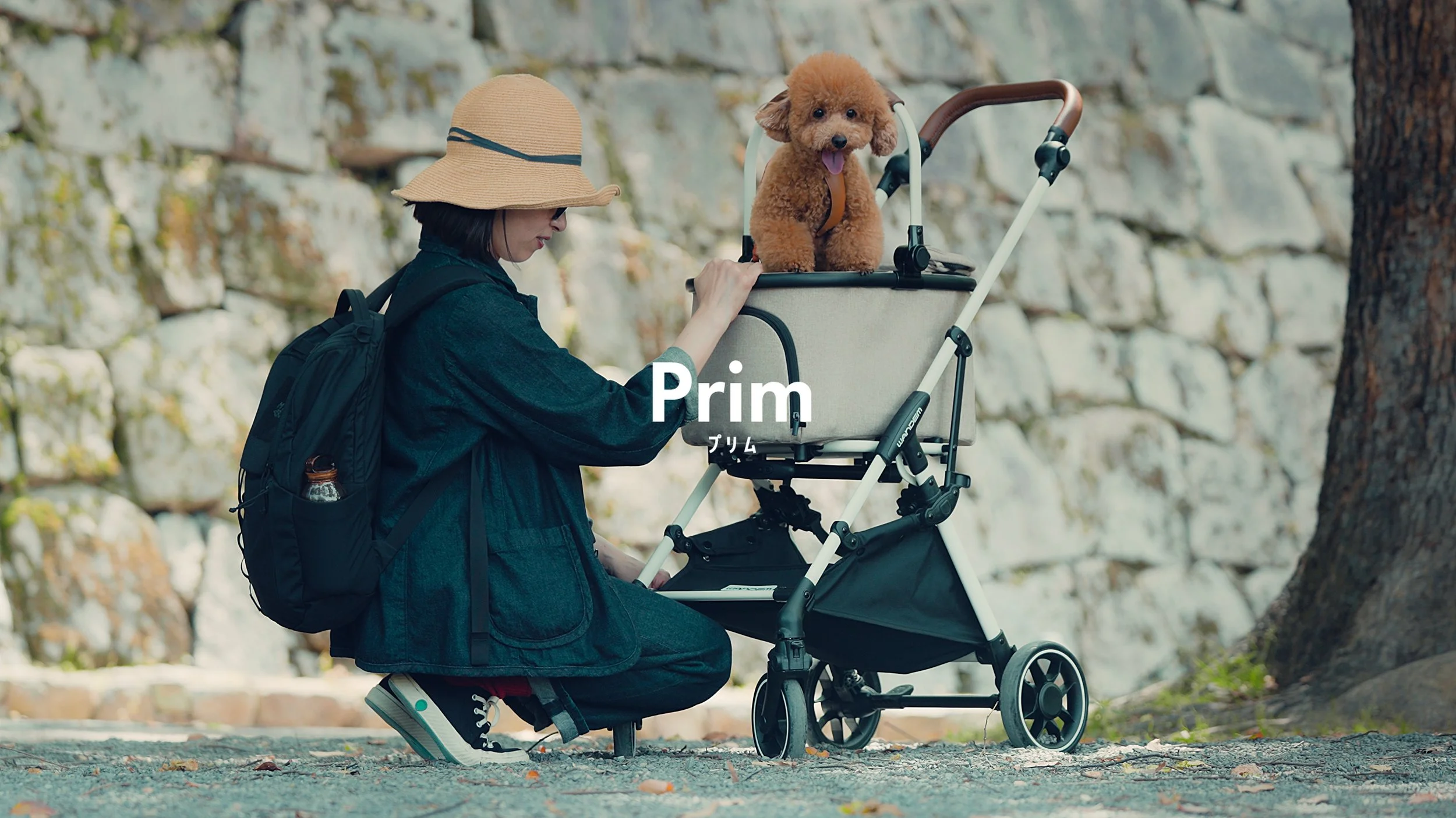 2026/6/3 大切なワンちゃんと一緒に新幹線で旅行ができる！WANDEM｜Prim