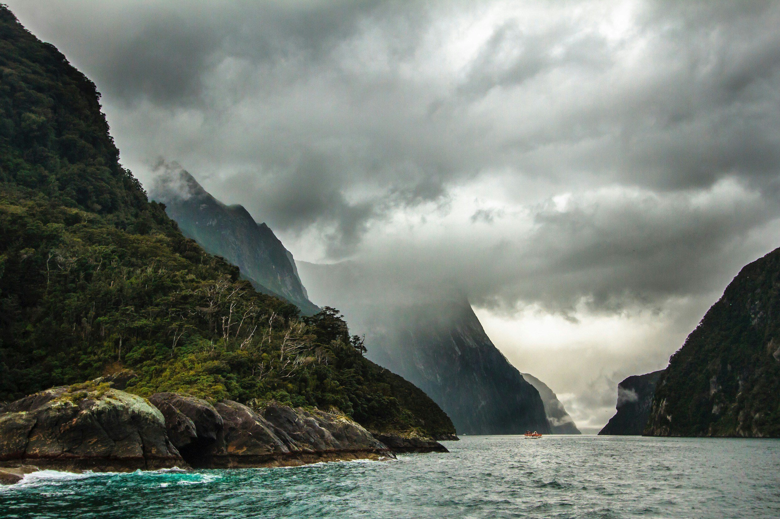 Is NZ the right country for you?