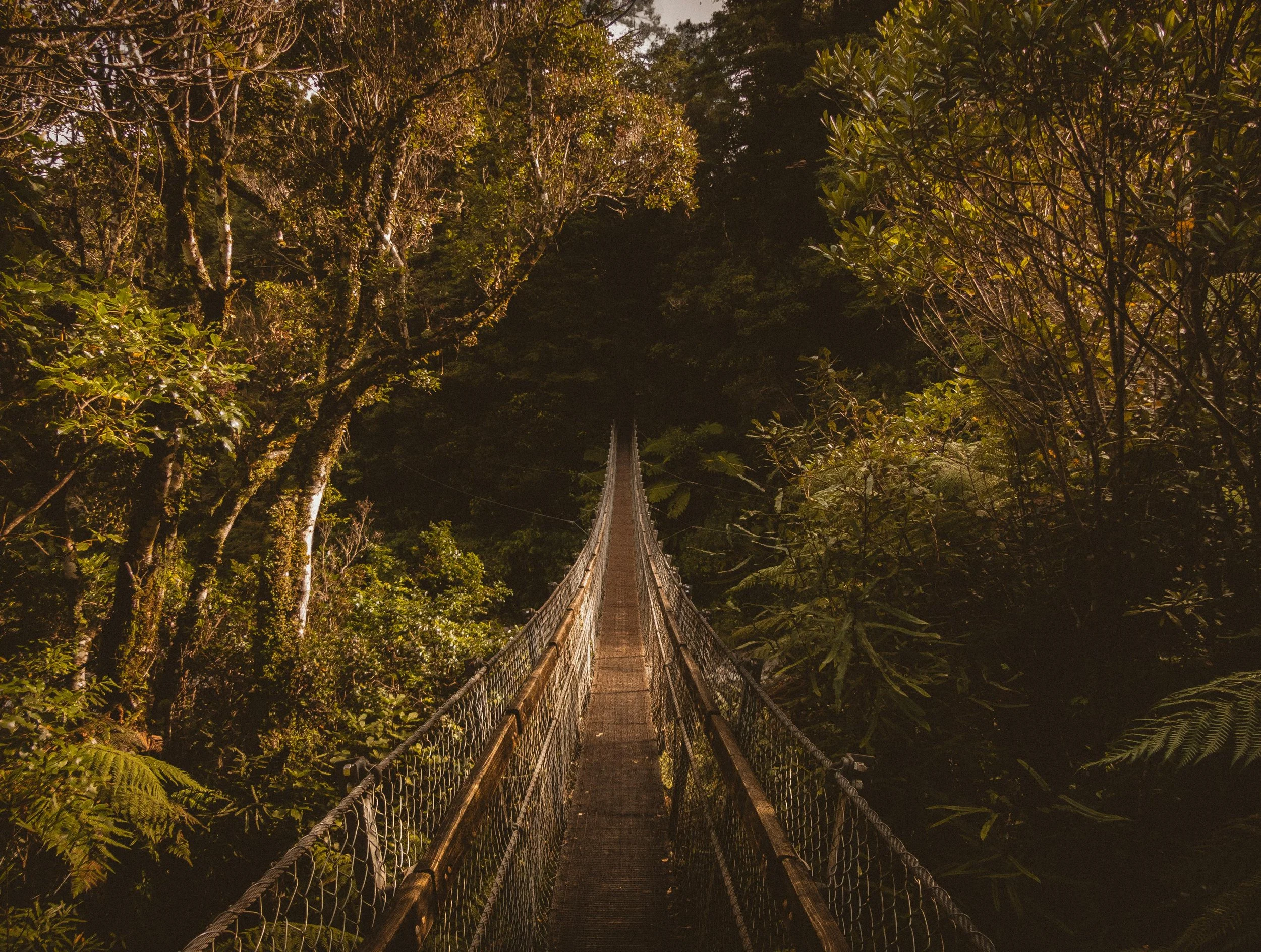 Can I get PR in New Zealand as an international student 2025-2026?