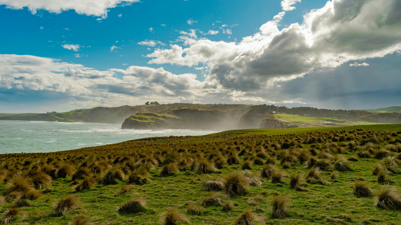 How to write a Statement of Purpose (SOP) for Studying in New Zealand?