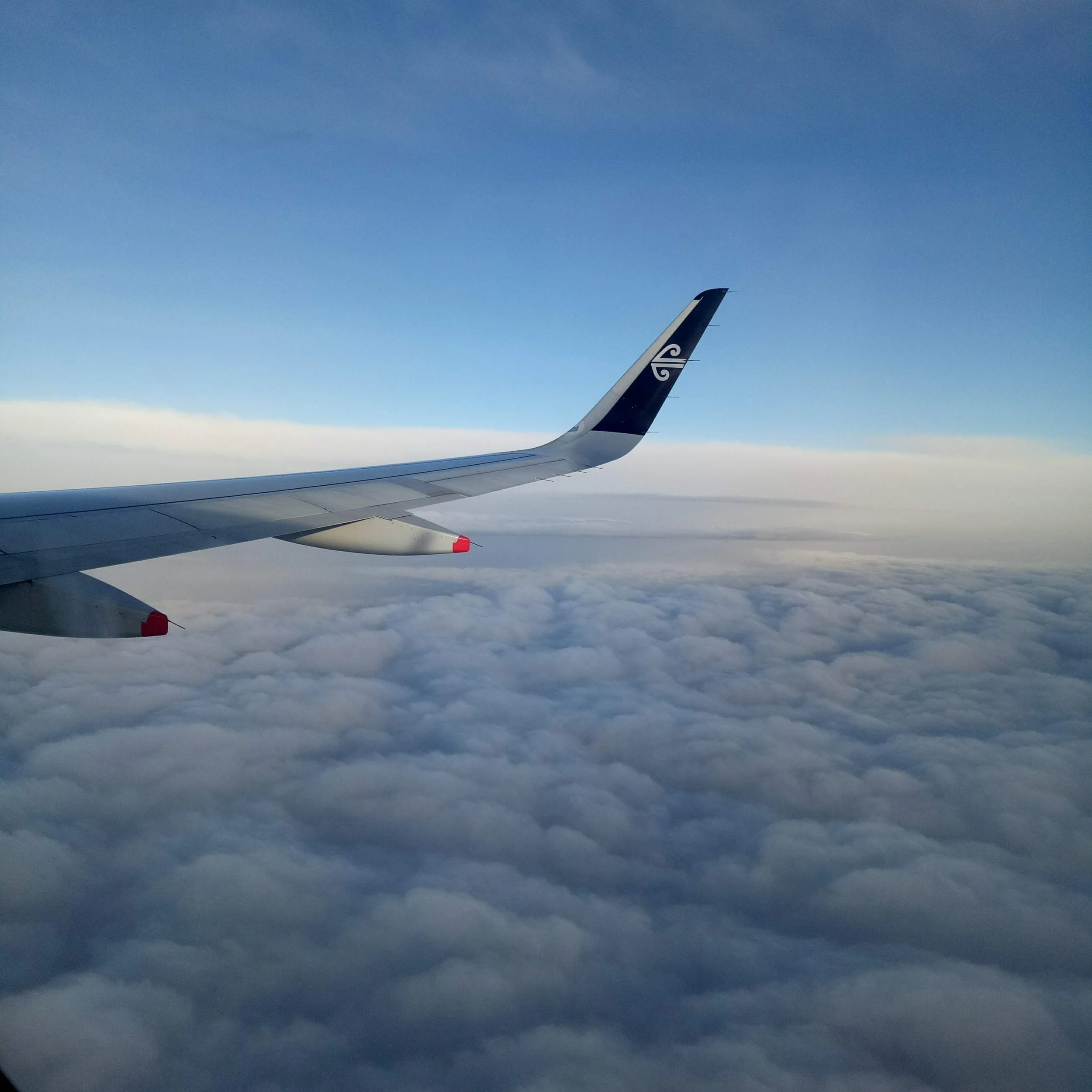 Can You Get a Job in New Zealand From Overseas? A Real Answer