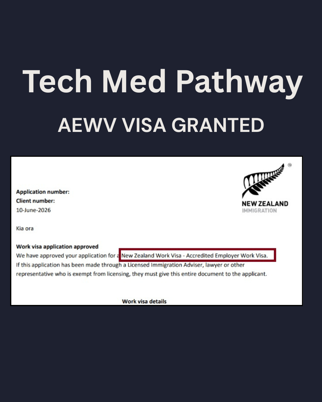 Student to Work Visa approved!