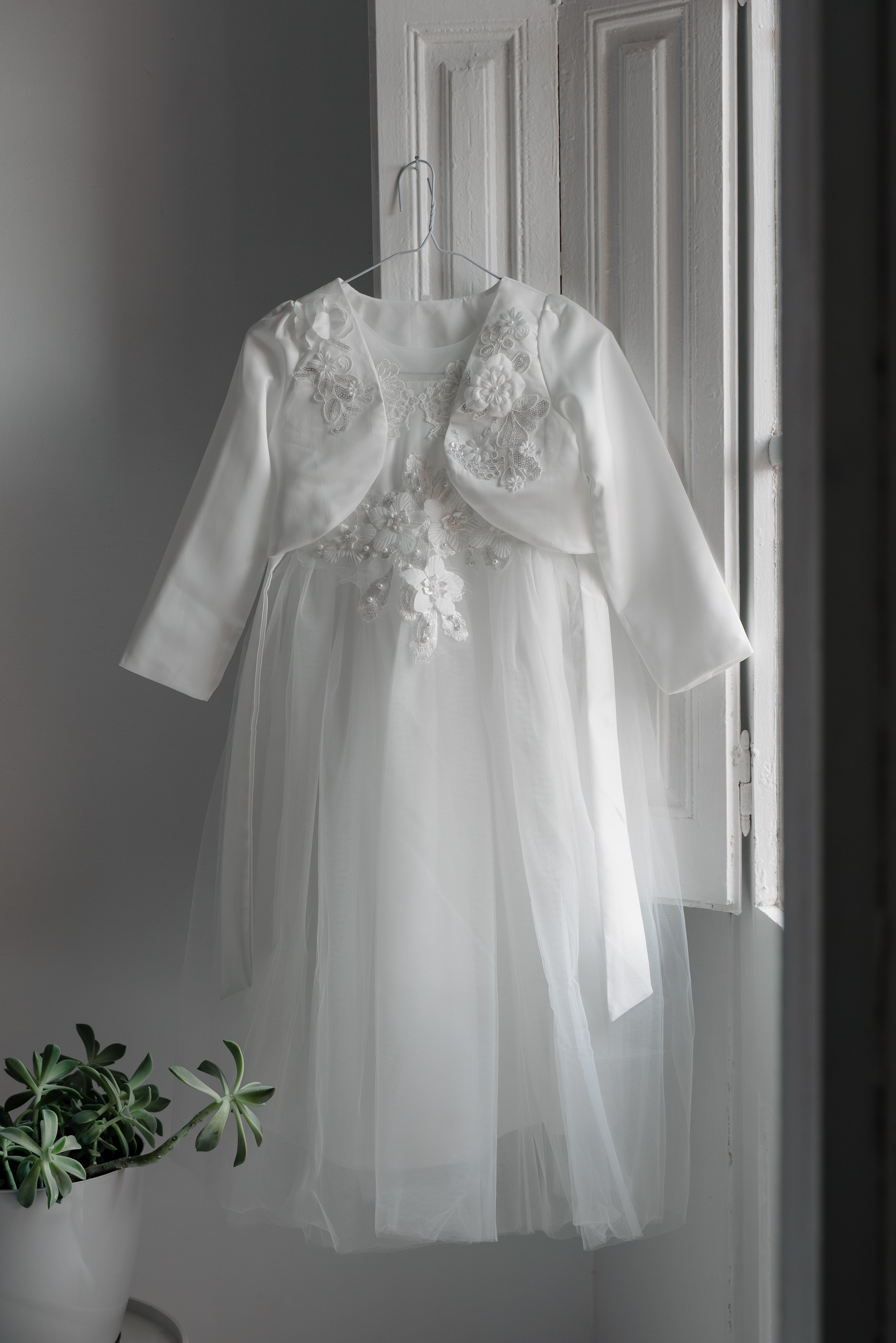 DSC08799-Enhanced-NR-Editar 2.jpg