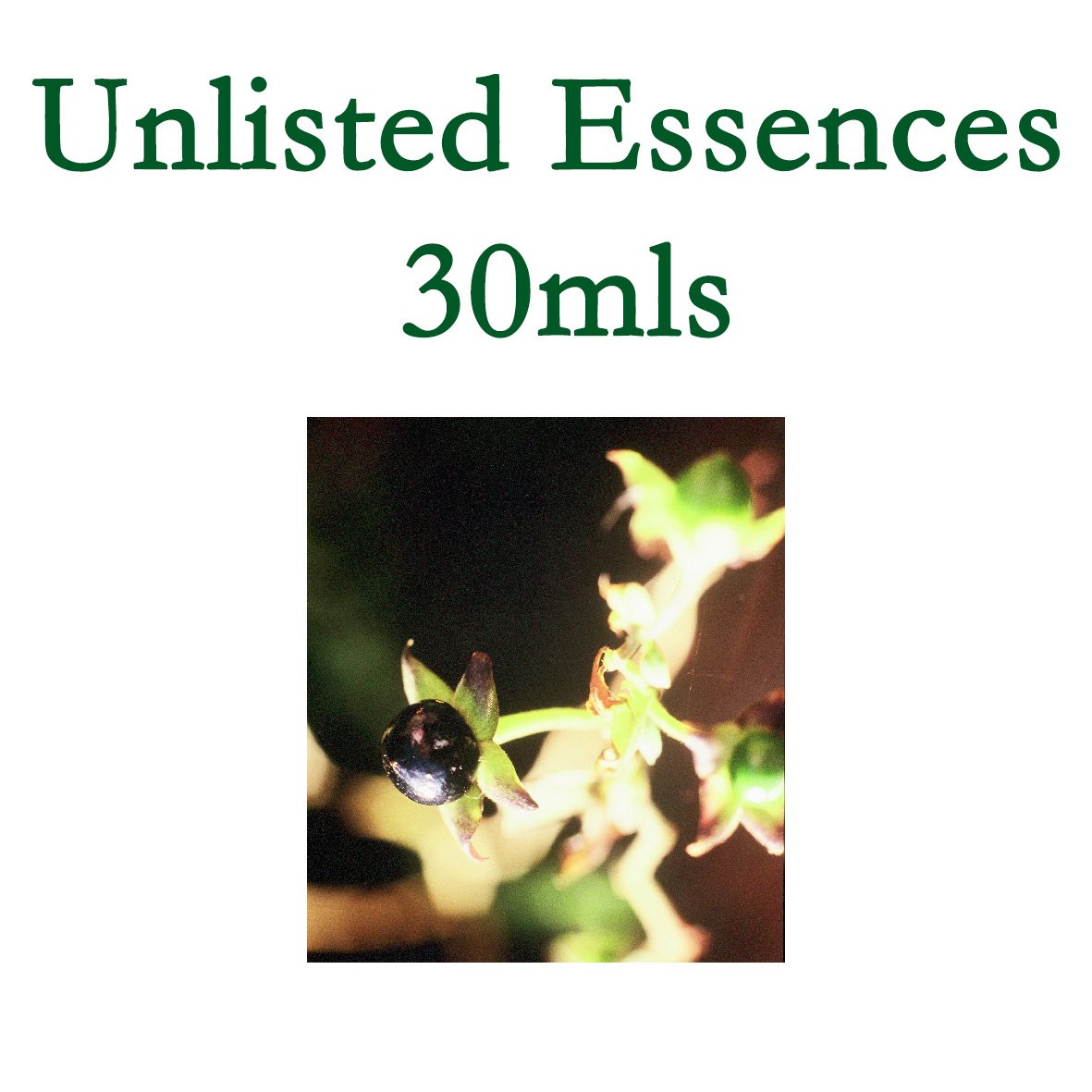 Unlisted Essences - 30mls