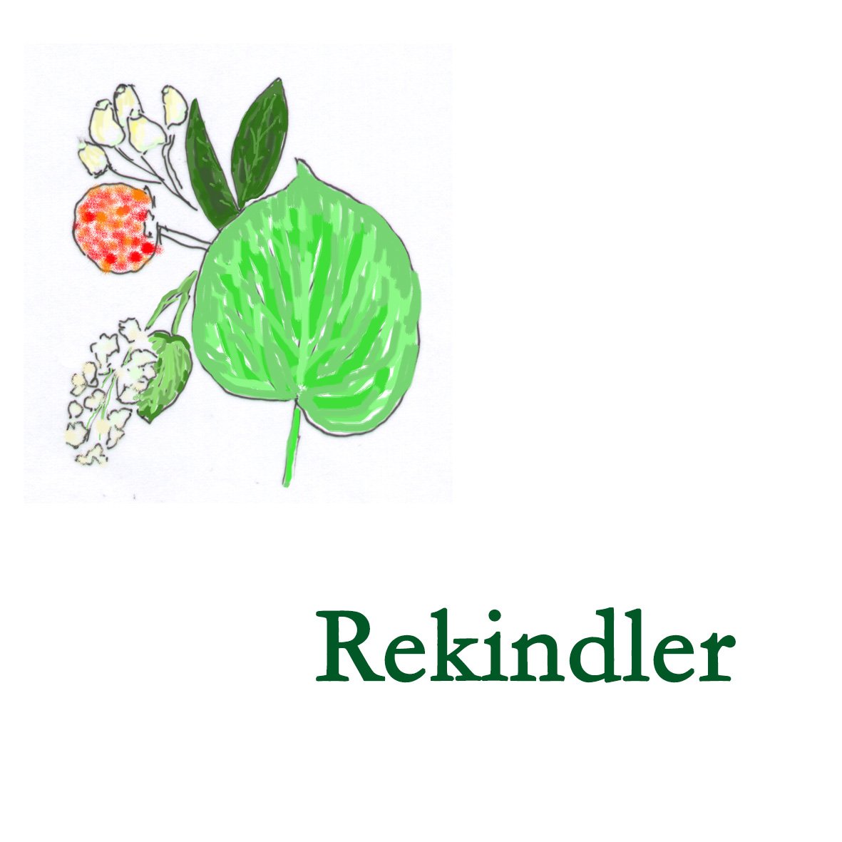 Forest Combination - Rekindler