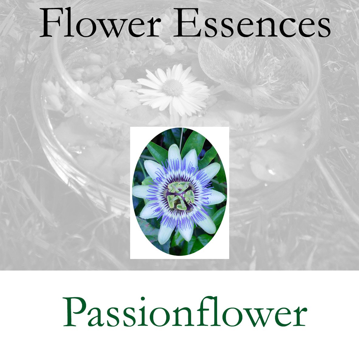 Flower Essence- Passionflower