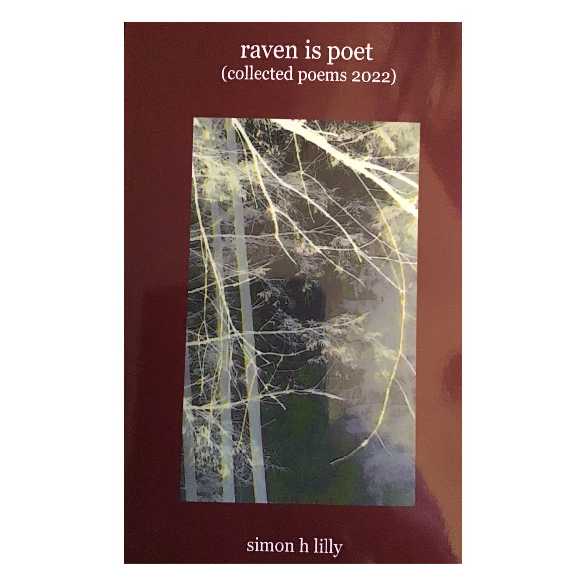 raven is poet - Collected Poems 2022
