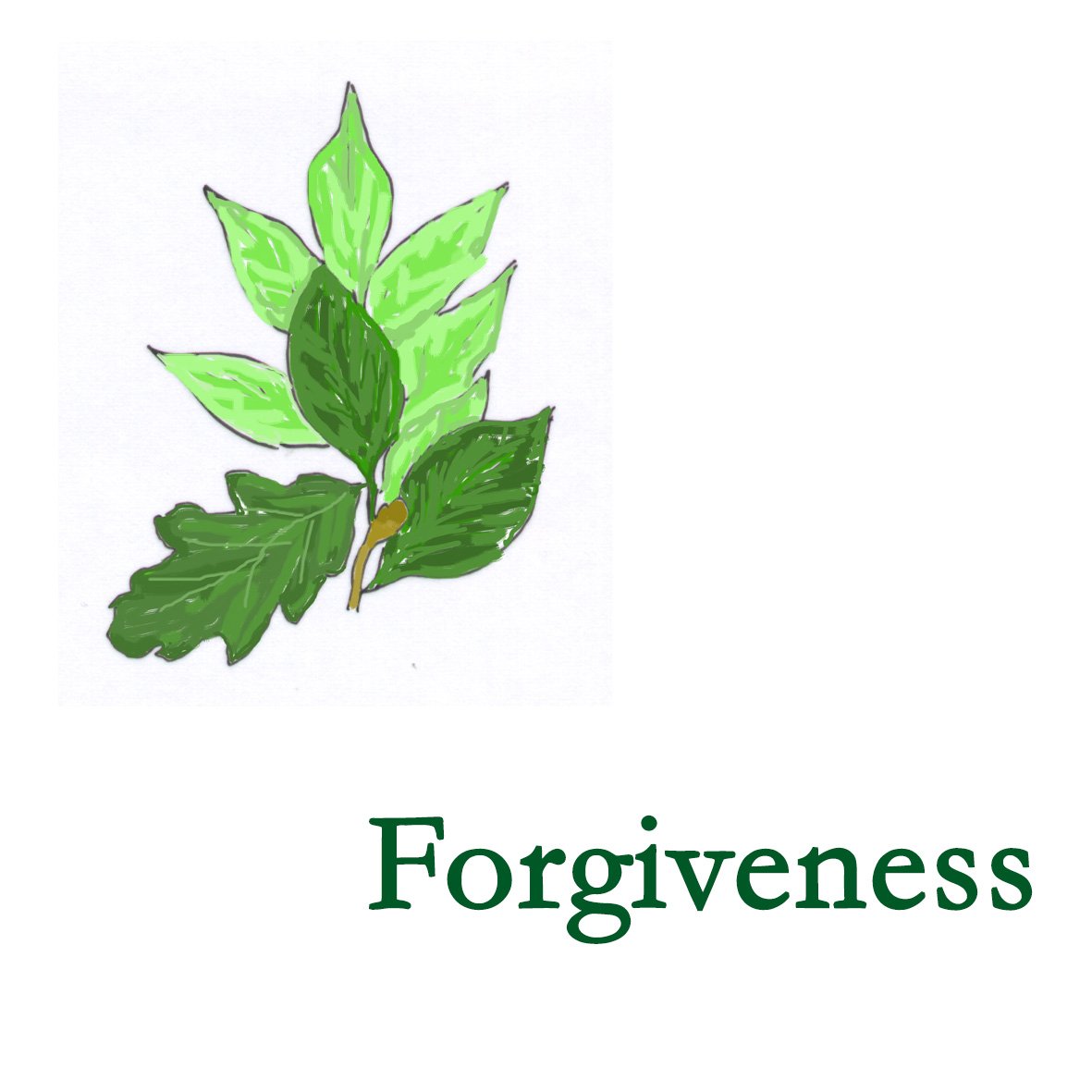 Forest Combination - Forgiveness