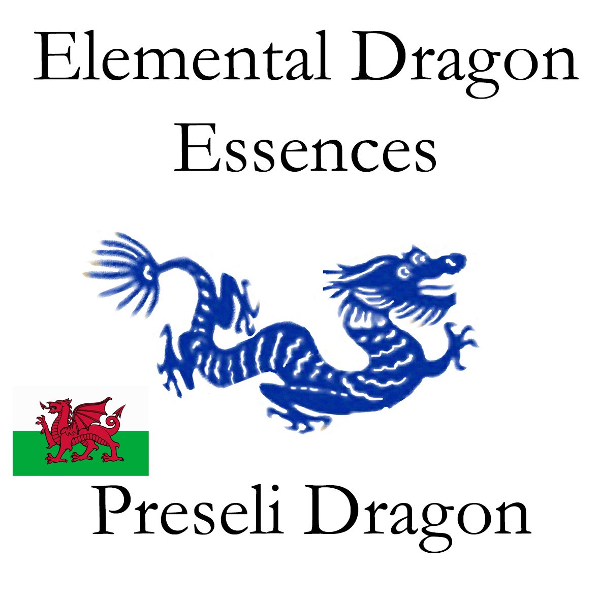 Welsh Essences - Preseli Dragon