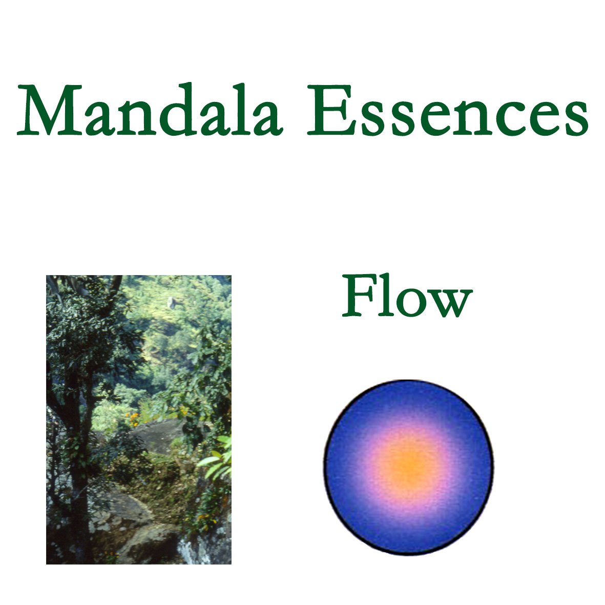 Mandala Essences- Flow