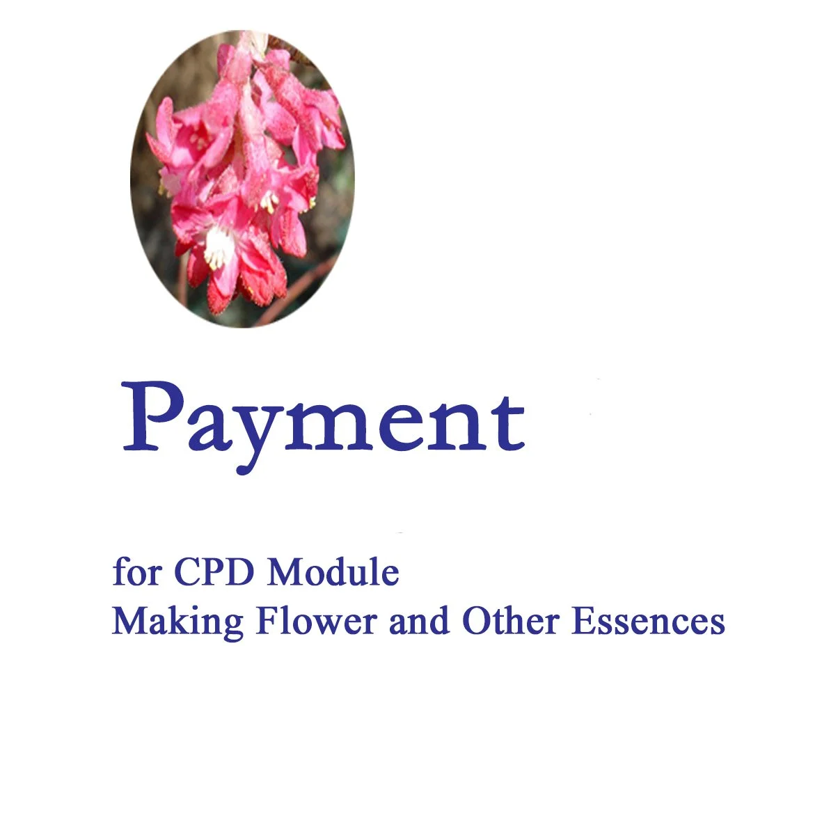 MCS CPD Courses - Making Flower and Other Essences