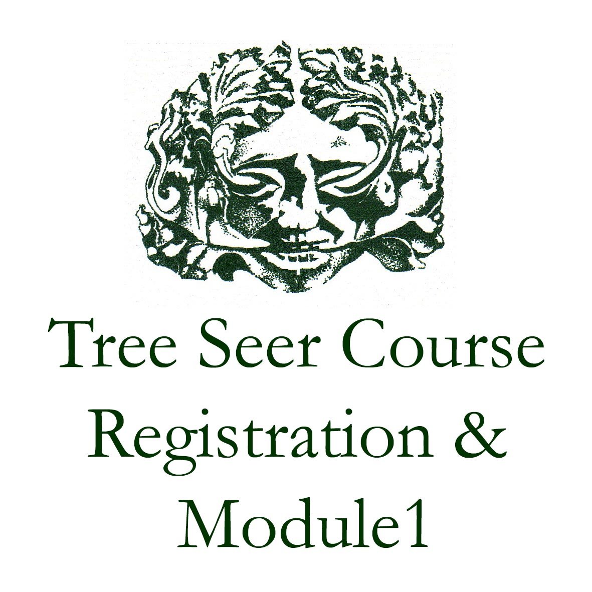 TreeSeer1.jpg