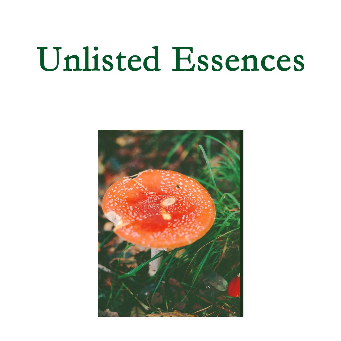 Unlisted Essences - 10mls