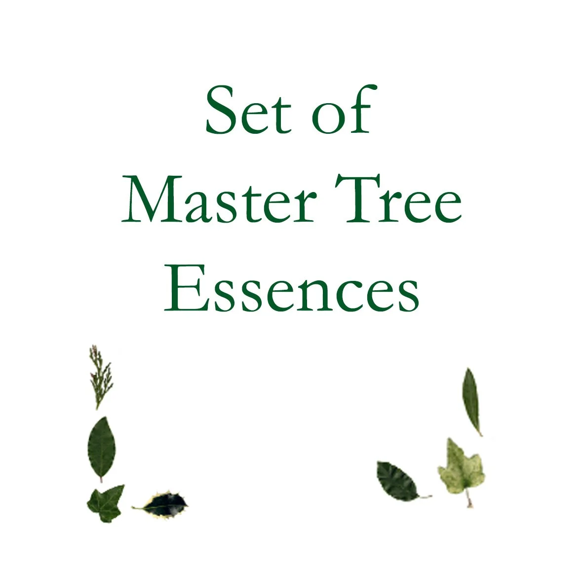 Master Tree Essences (10)
