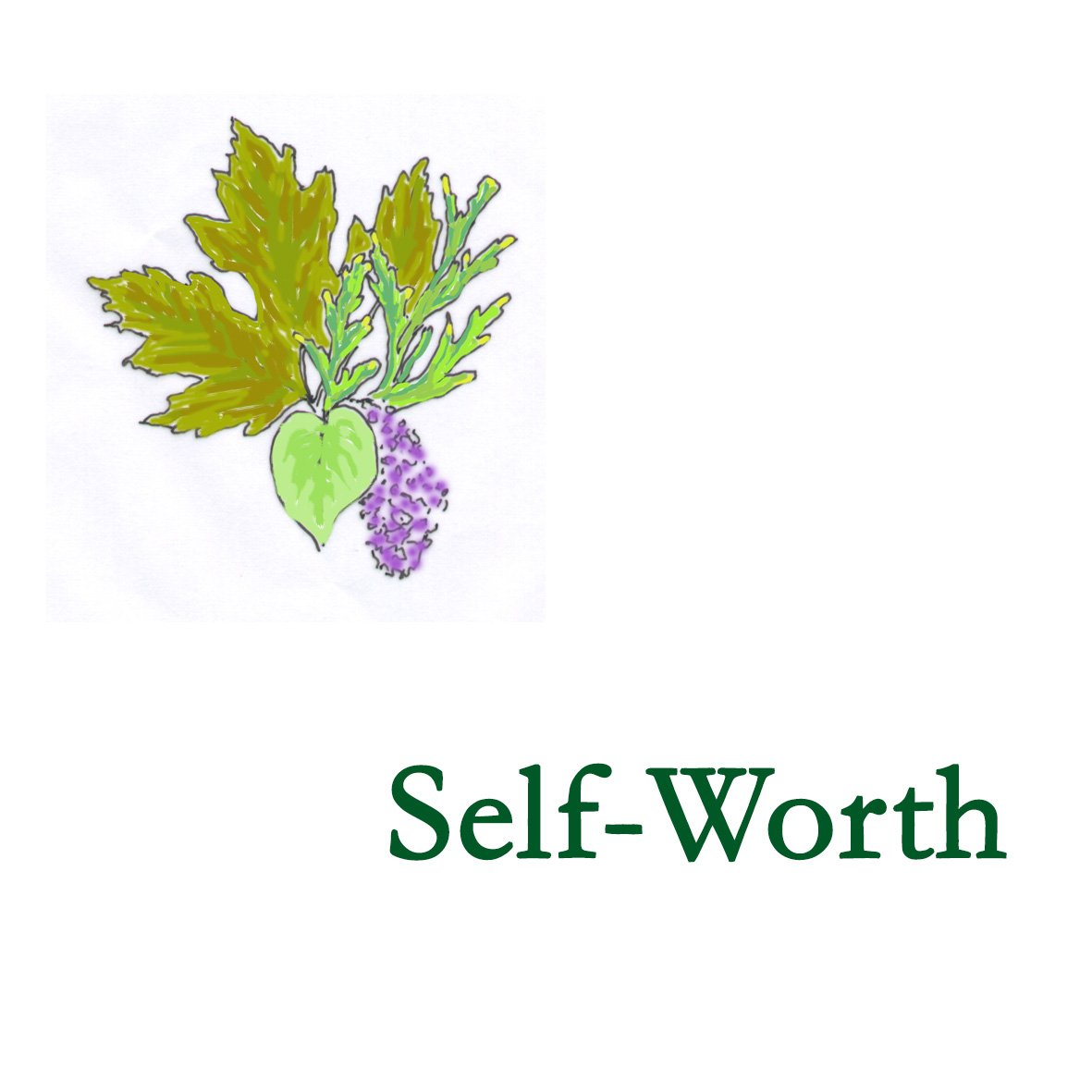 Forest Combination - Self-Worth
