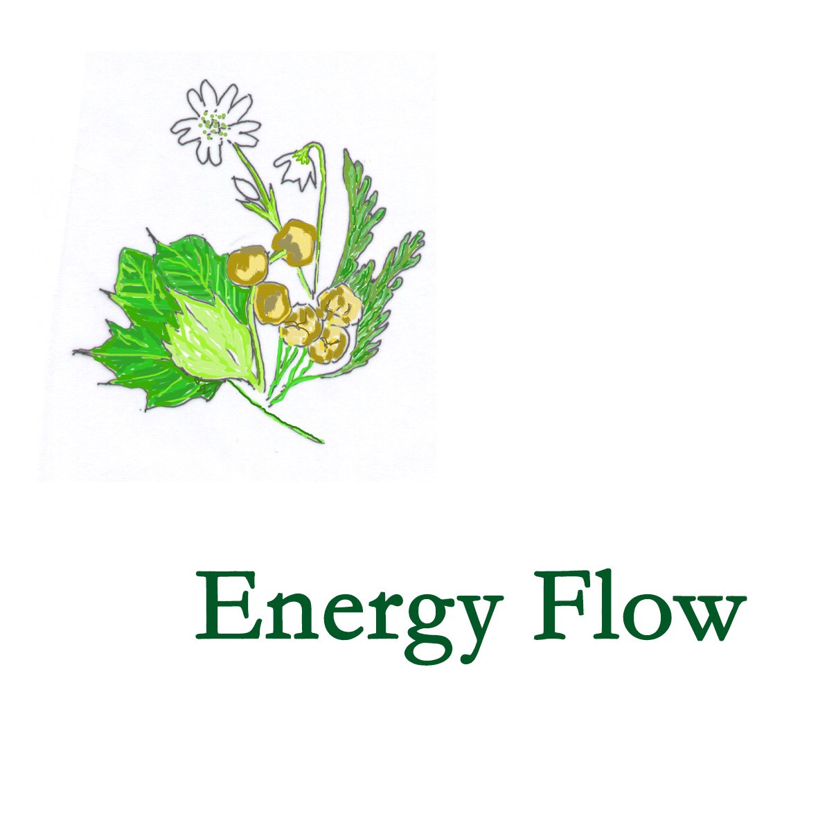 Forest Combination - Energy Flow