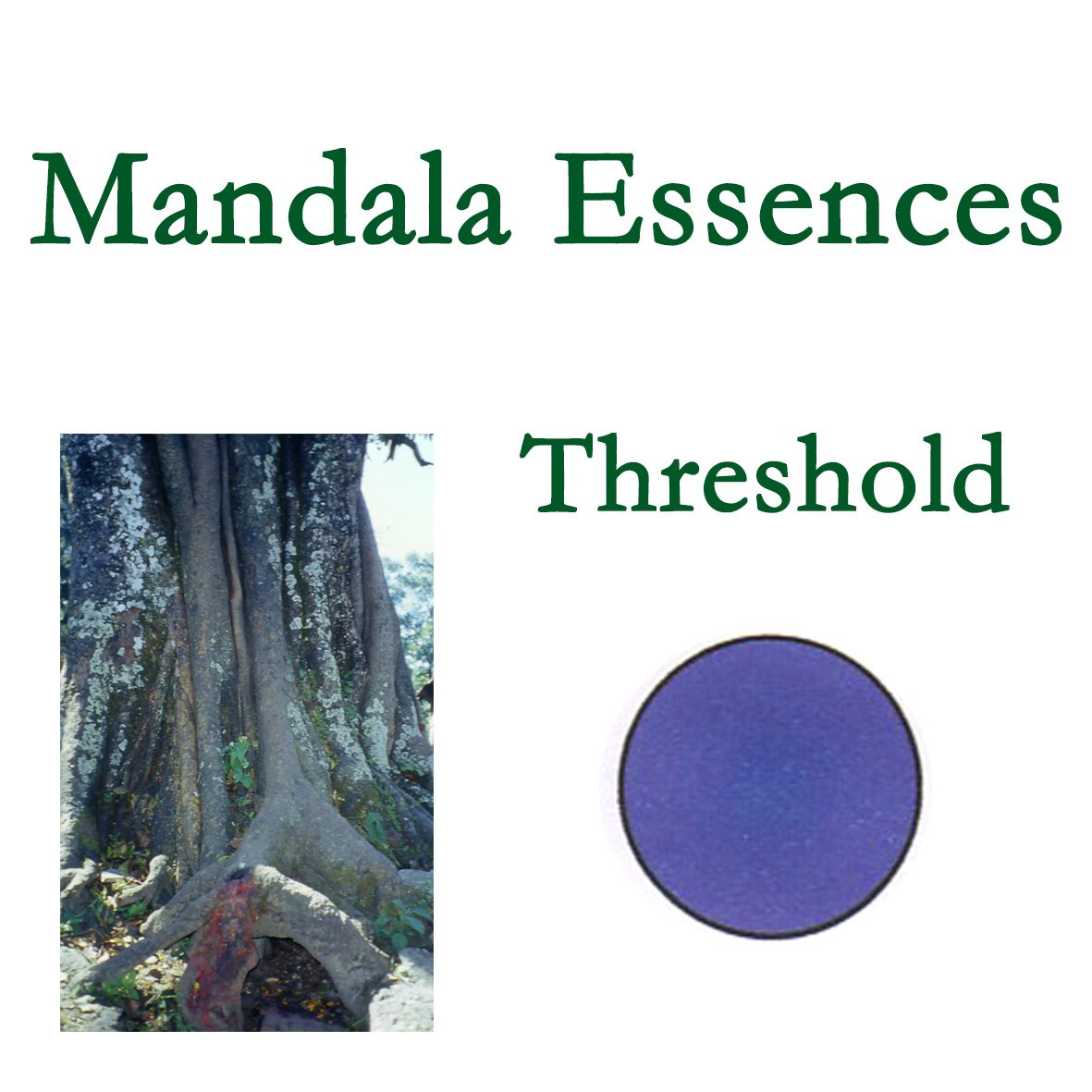 Mandala Essences- Threshold
