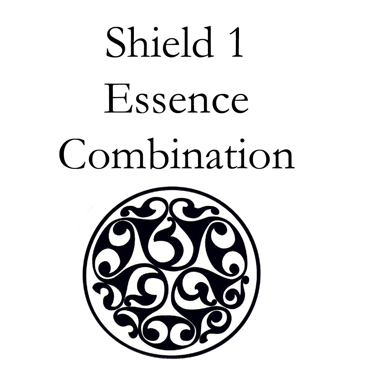 Shield 1 Combination Essence