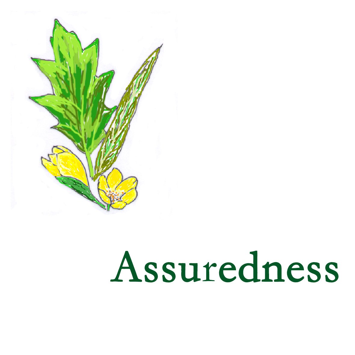 Forest Combination - Assuredness