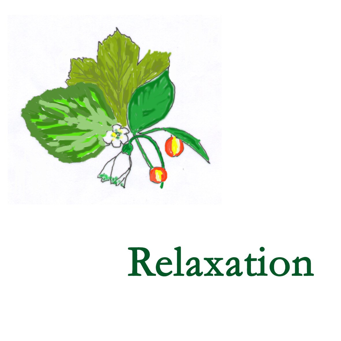 Forest Combination - Relaxation