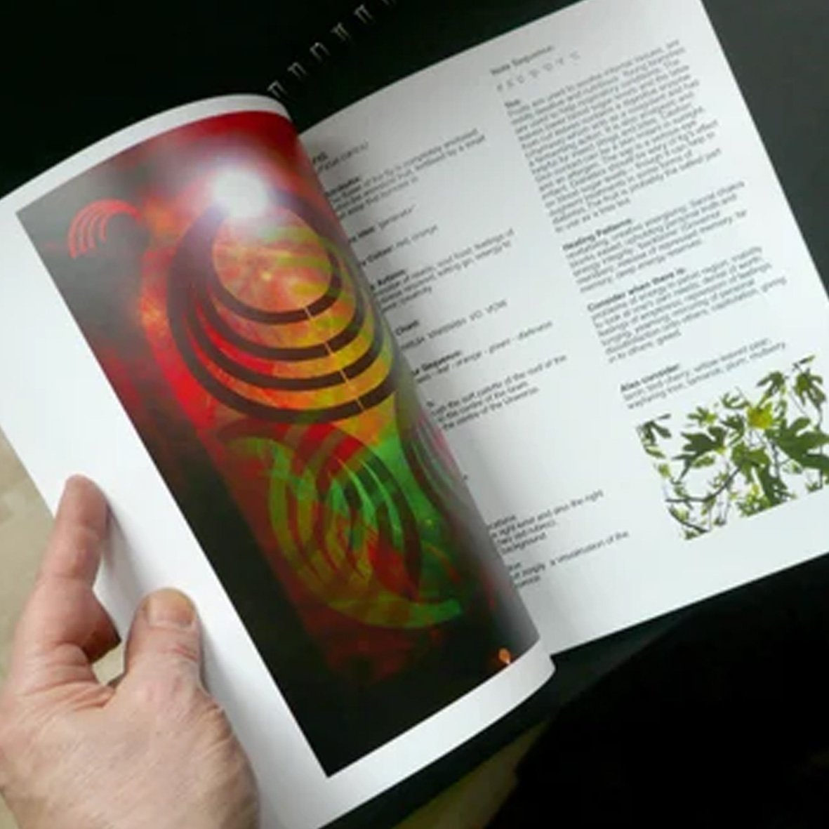 SourcebookVol.1.jpg