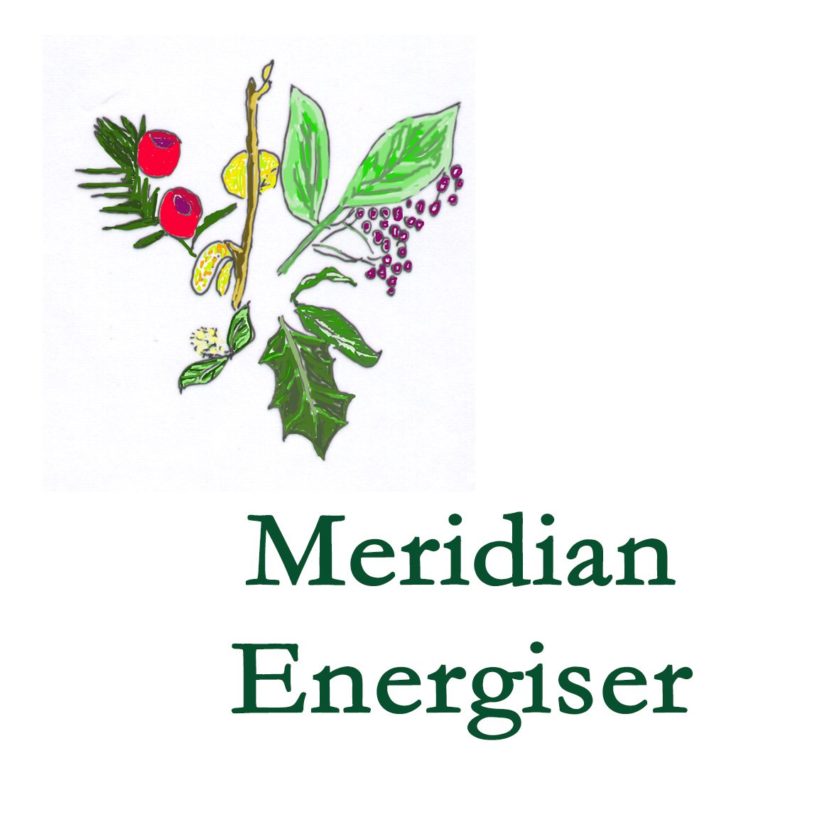 Forest Combination - Meridian Energiser