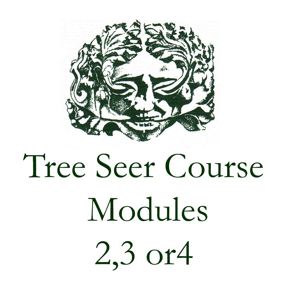 MCS Tree Seer Course - Modules 2,3 or 4