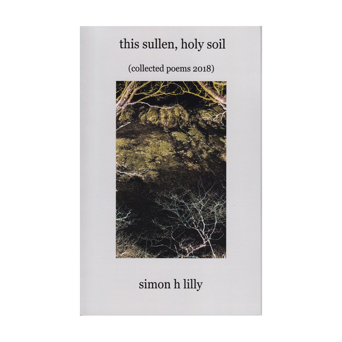 holysoil.jpg