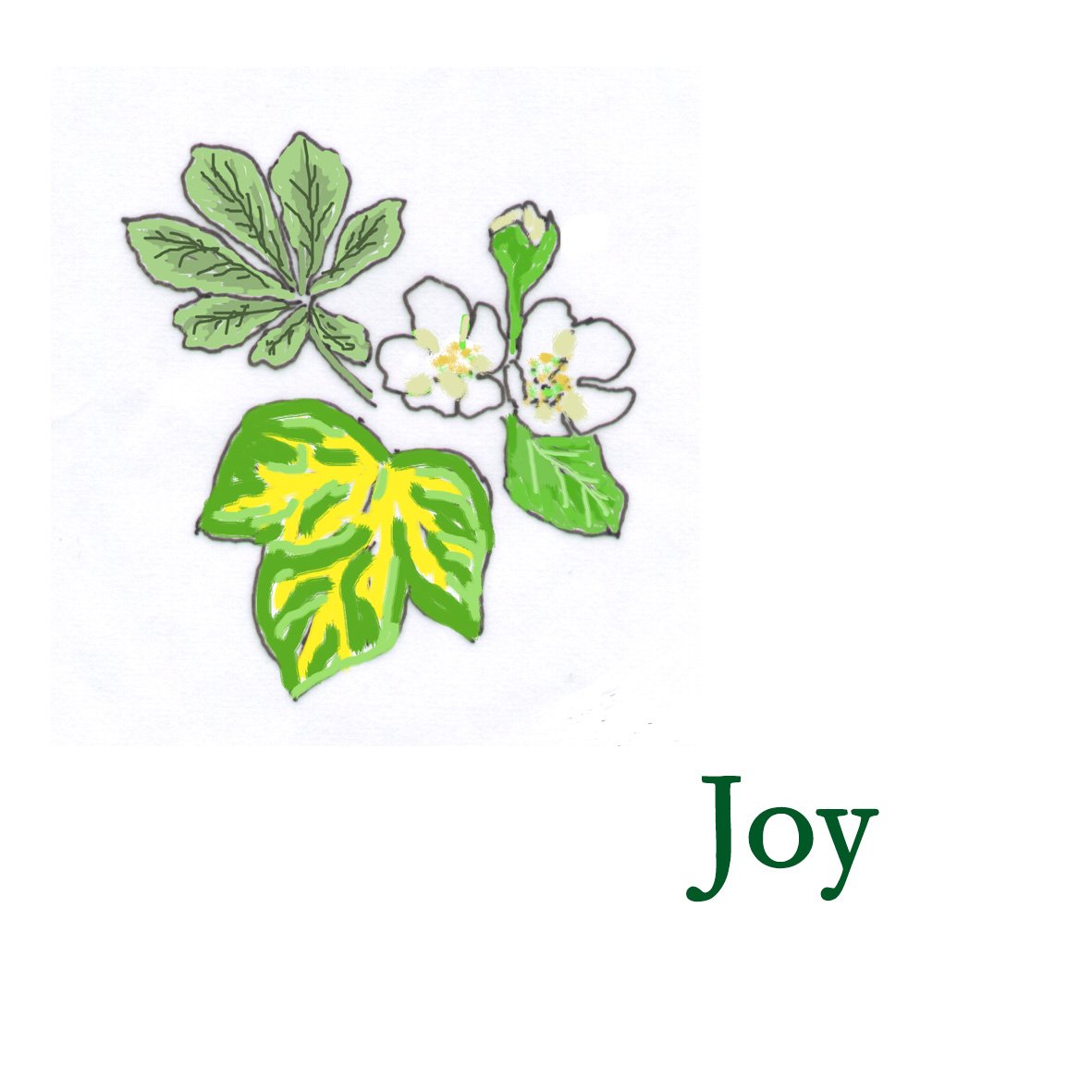 Forest Combination - Joy