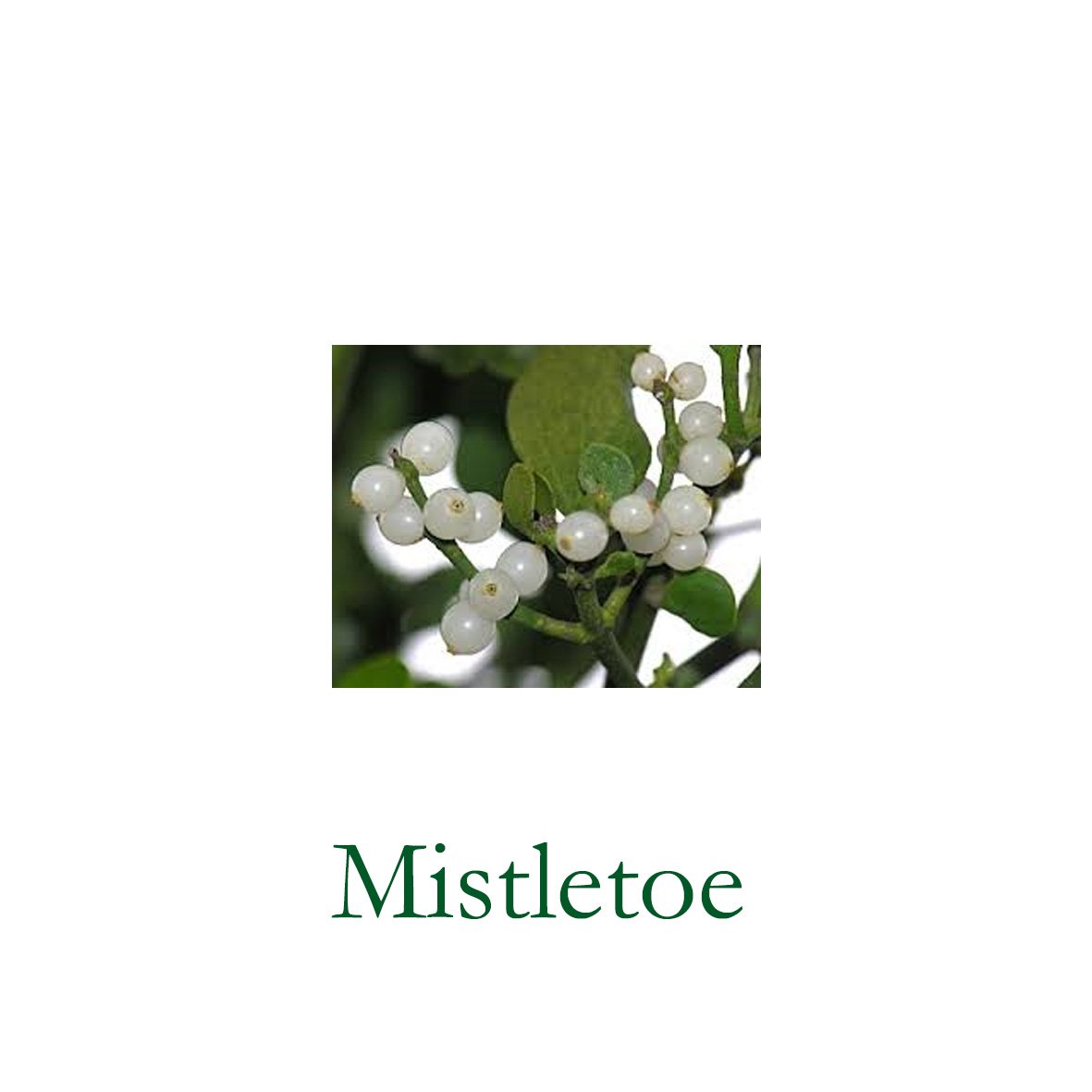 Ogmistle.jpg