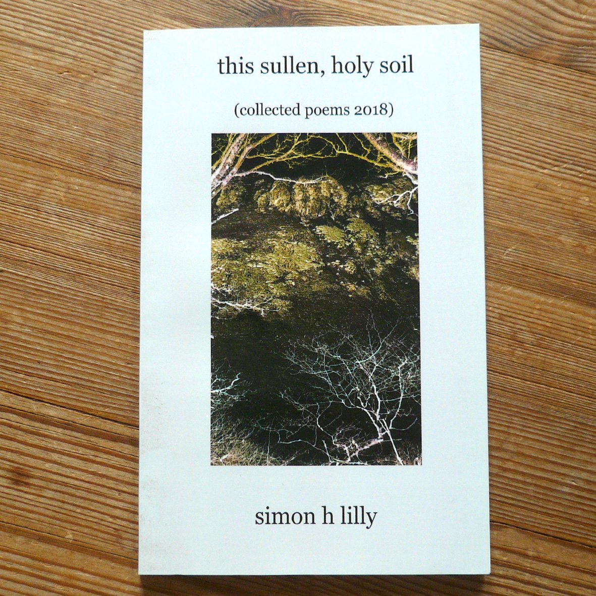 ThisSullenHolySoil1e.jpg
