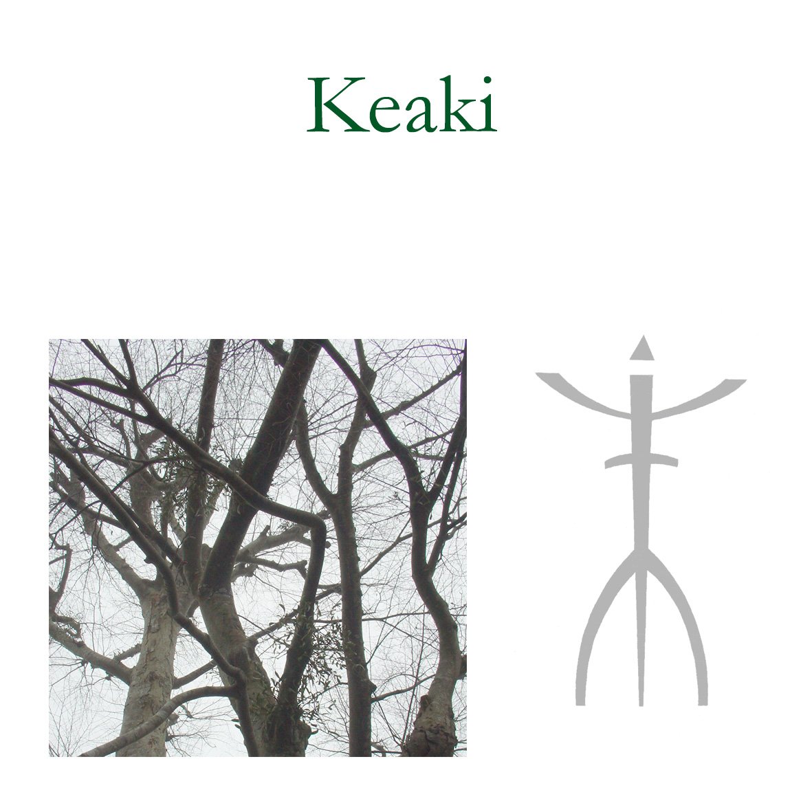Japanese Tree Flower Essences - Keaki