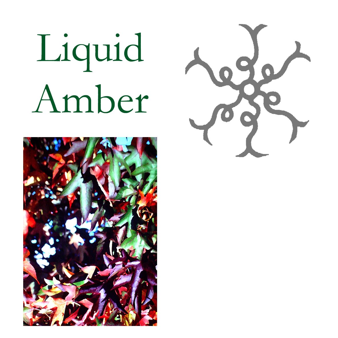 Tree Flower - Liquidamber