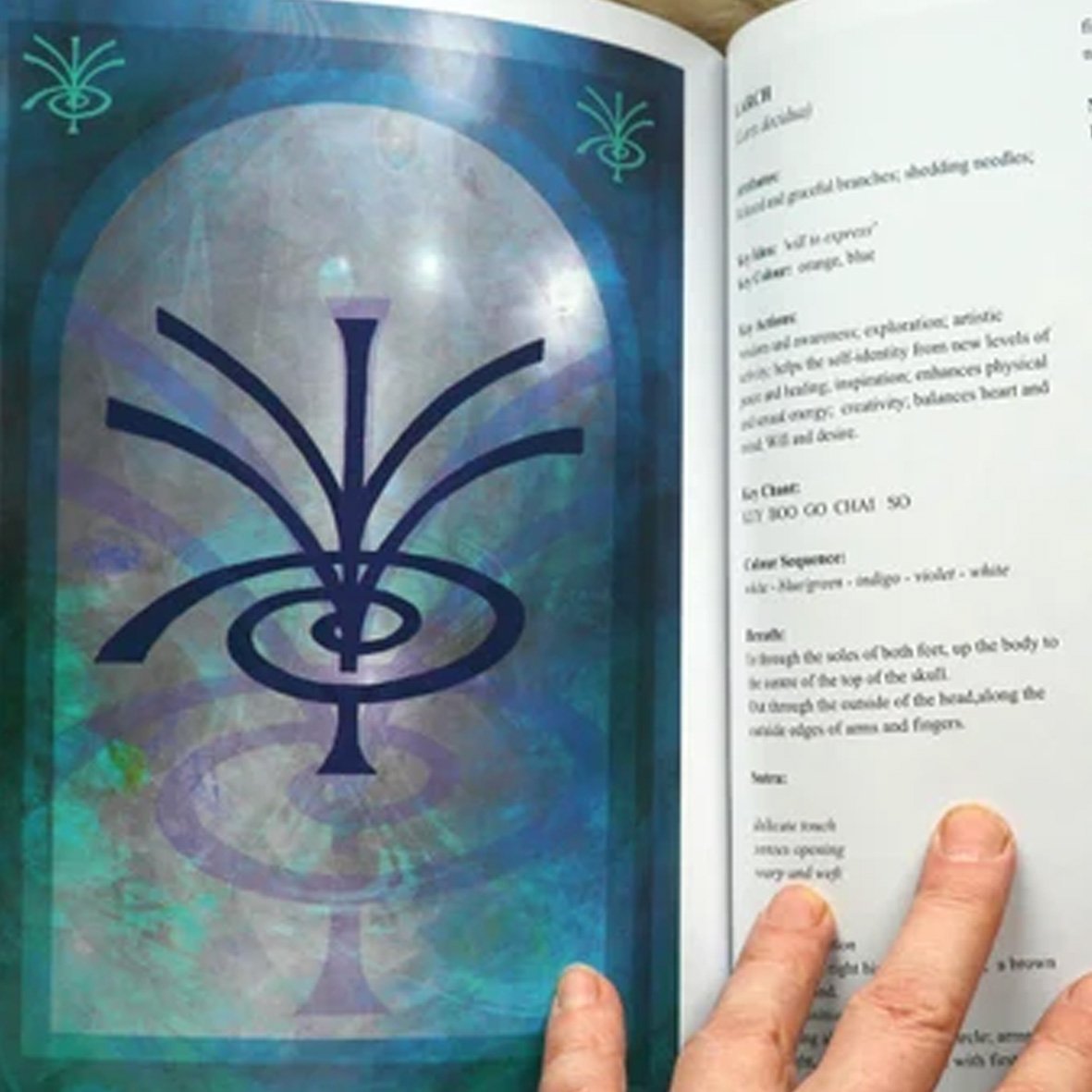 SourcebookVol.2.jpg