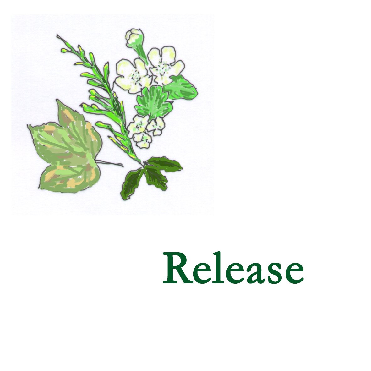 Forest Combination - Release