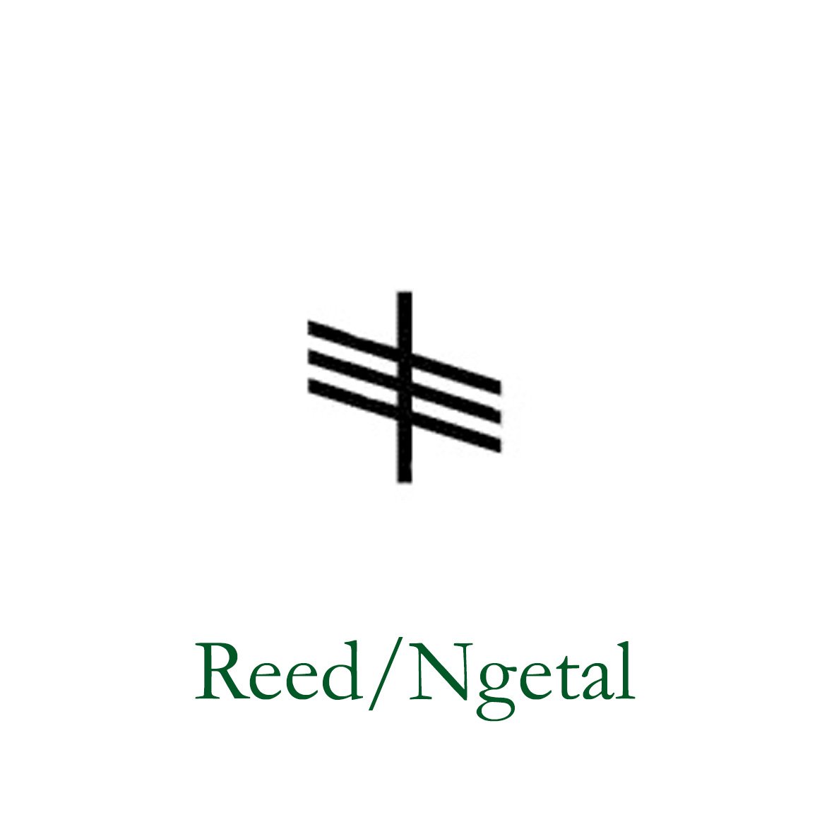 OgReed.jpg