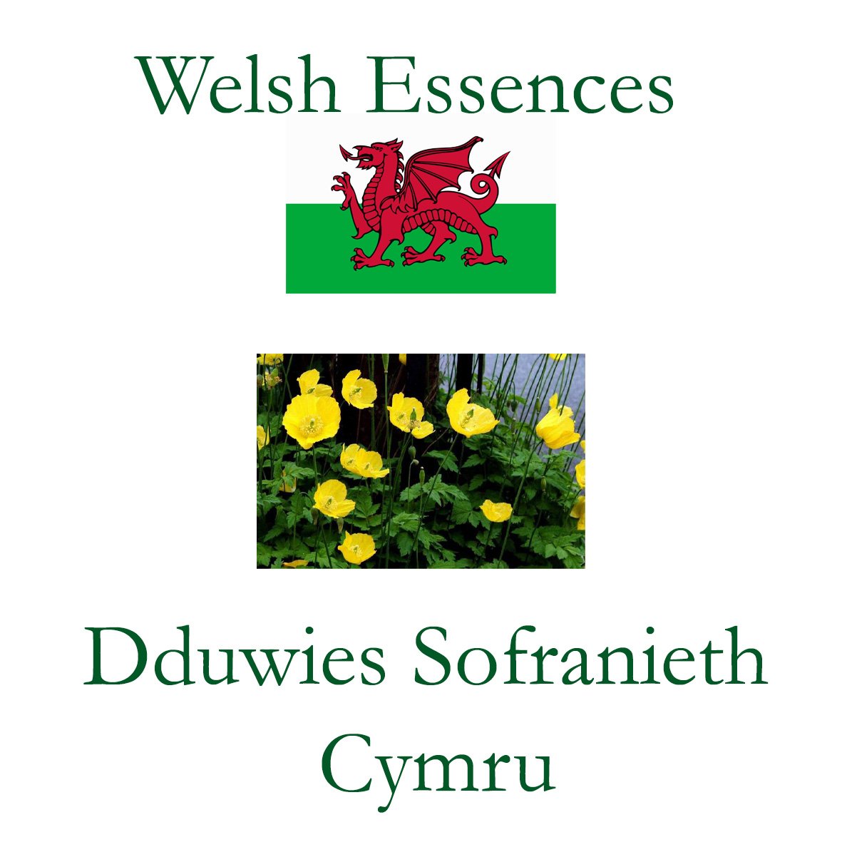 Welsh Essences - Dduwies Sofranieth Cymru