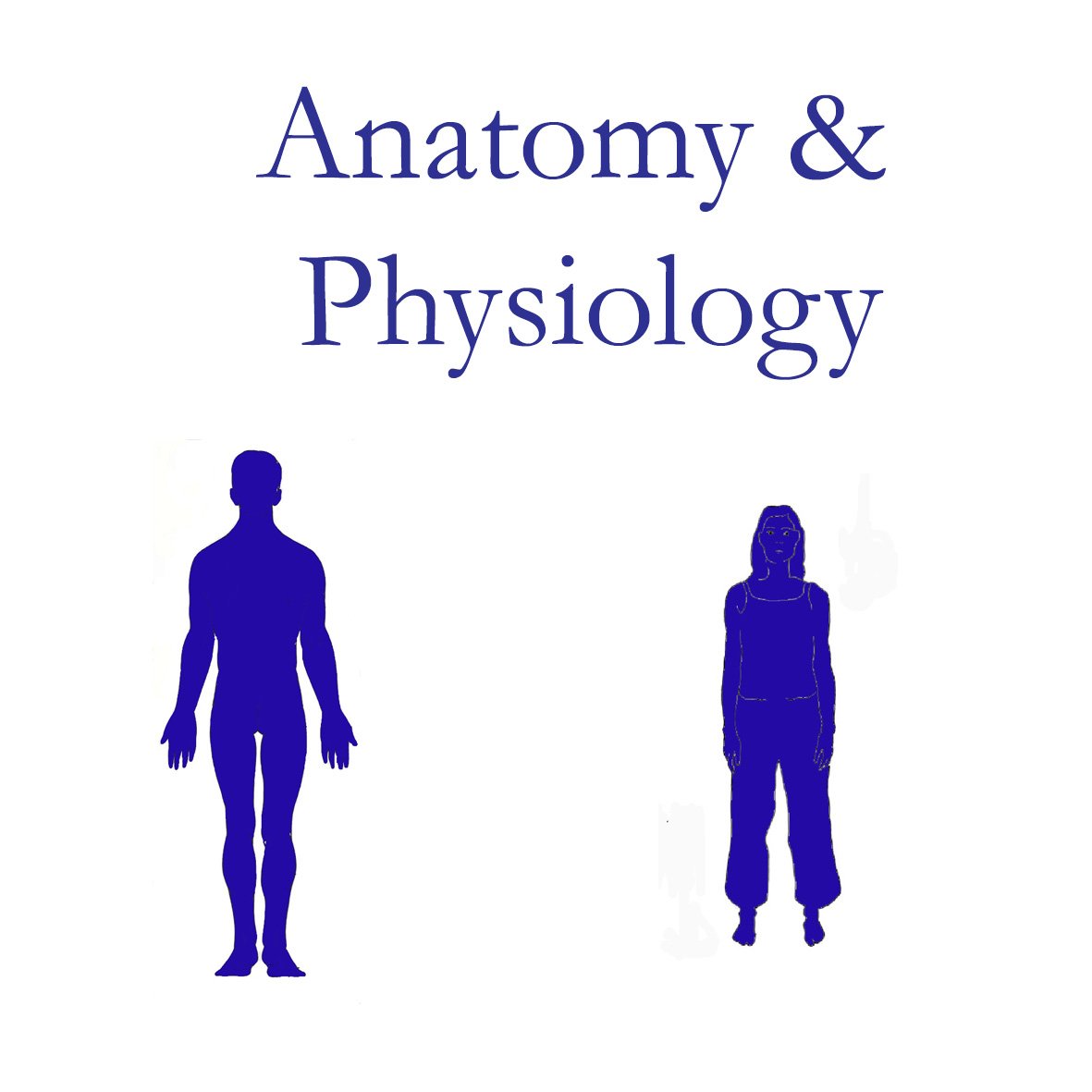 MCS & ICGT Anatomy & Physiology