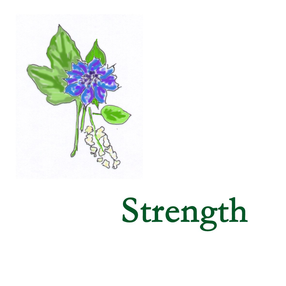 Forest Combination - Strength